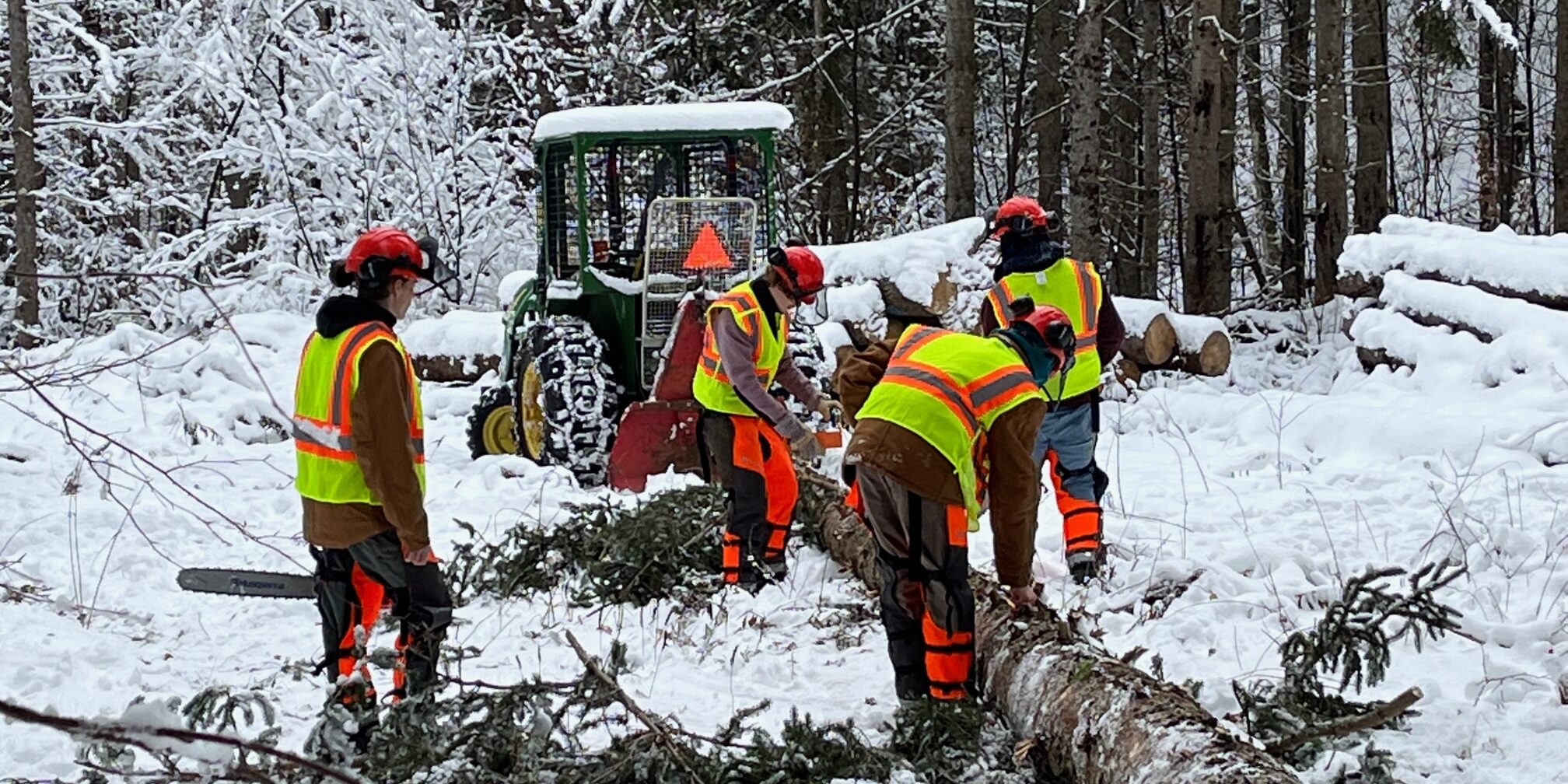 Students dressed in safety vests work on a downed tree in the snow