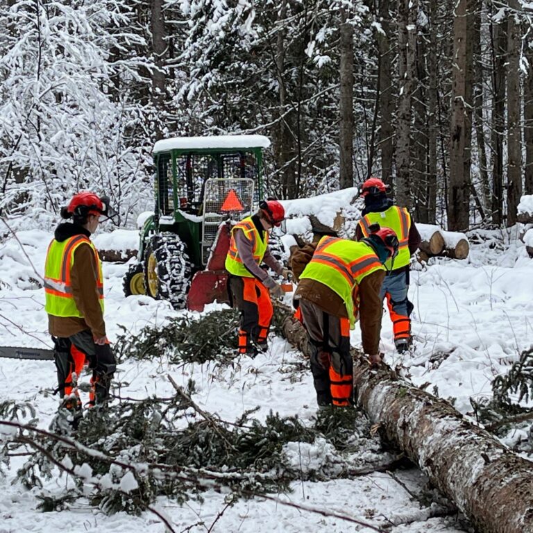 IMG_0332 (2) – Mike Stannard Students dressed in safety vests work on a downed tree in the snow