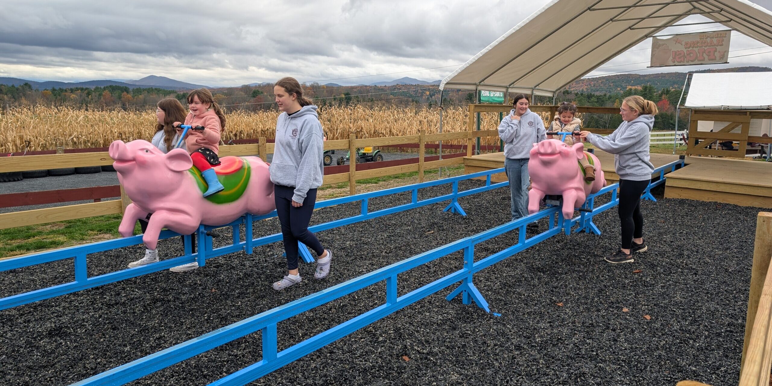 PXL_20251024_144045519 – Jacqueline Hemple Children ride on pig shaped riding toys that slide on rails.