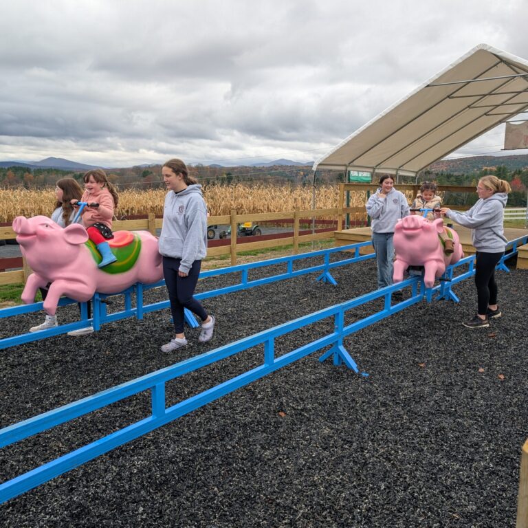 PXL_20251024_144045519 – Jacqueline Hemple Children ride on pig shaped riding toys that slide on rails.