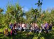 A group of adults, high school students and preschoolers stand in front of fruit laden apple trees.