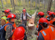 Students are gathered at the base of a cut tree listening intently to an older gentleman talk to them