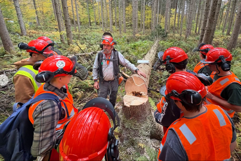 Students are gathered at the base of a cut tree listening intently to an older gentleman talk to them
